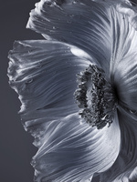 37.2 Paris - WATER FLOWER_171_C.jpg