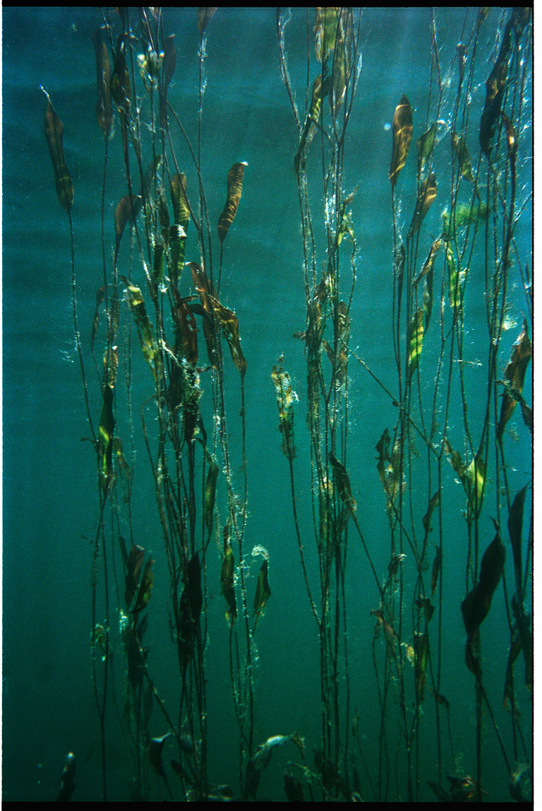 37.2 Paris - nikonos-001.jpg