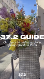 37.2 Paris - paris spring 